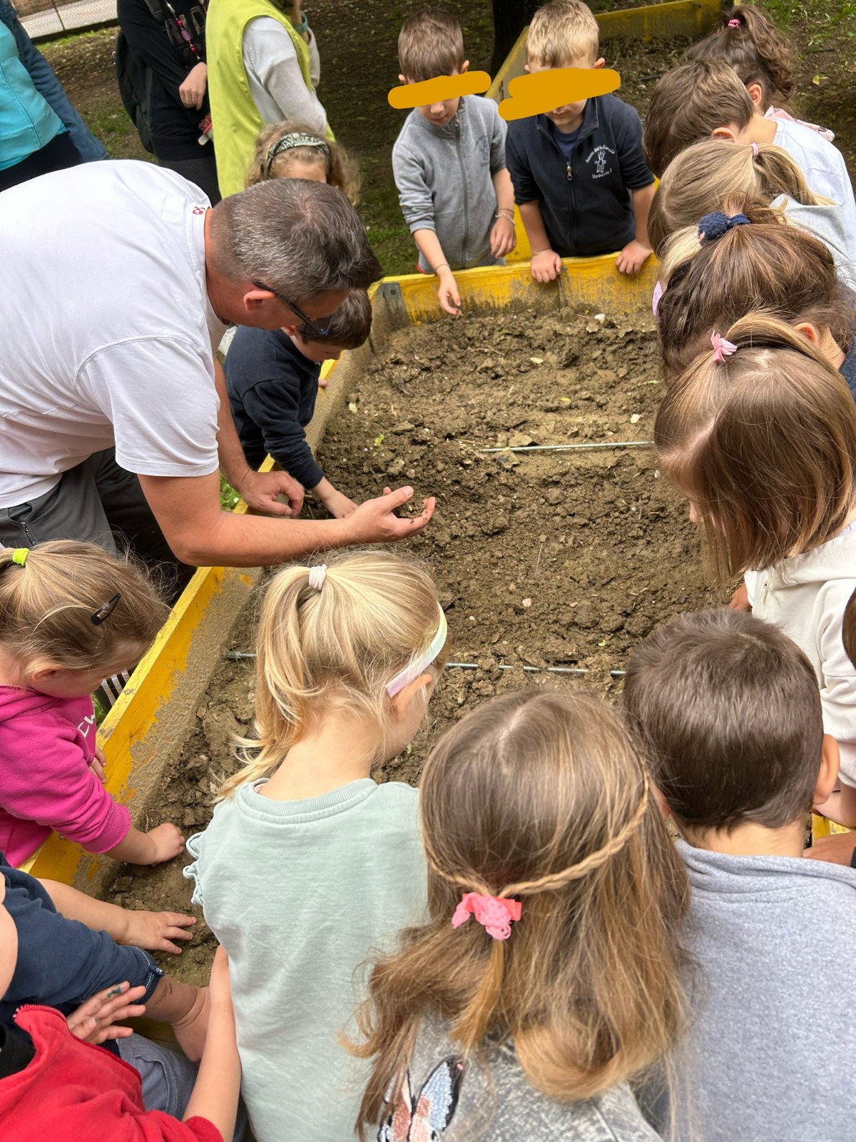 Alla Scuola dell’Infanzia di Camposampiero l’orto si fa con Il Graticolato