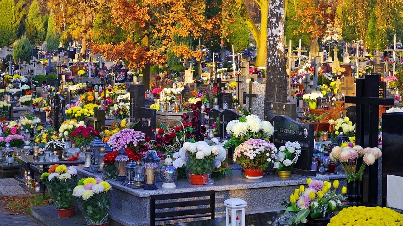 I fiori e gli alberi dei cimiteri di San Giorgio delle Pertiche sono in buone mani: le nostre!