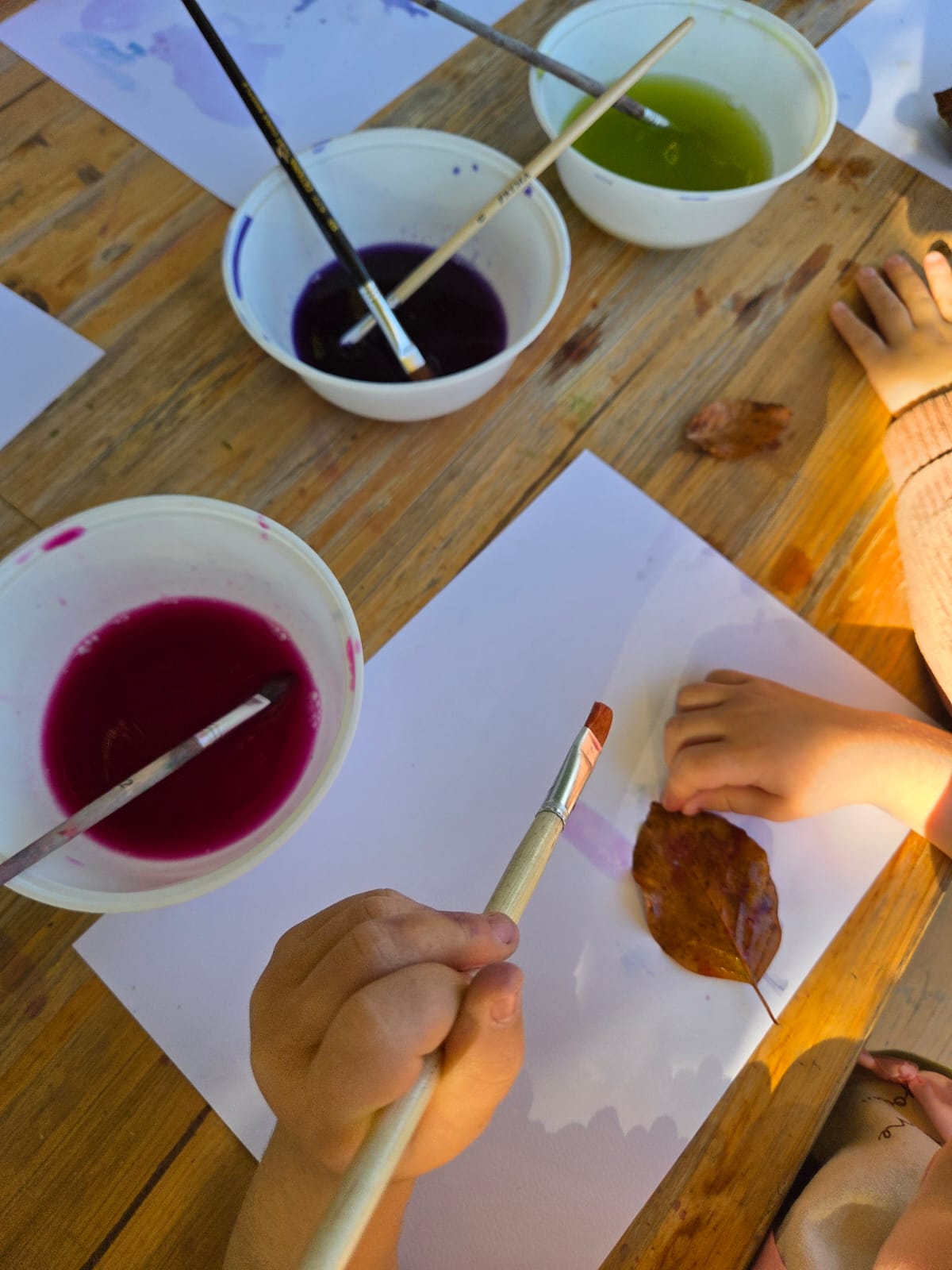 I bimbi della Scuola Materna di Vaccarino al “Parco del Passero” I bimbi della Scuola Materna di Vaccarino al “Parco del Passero”