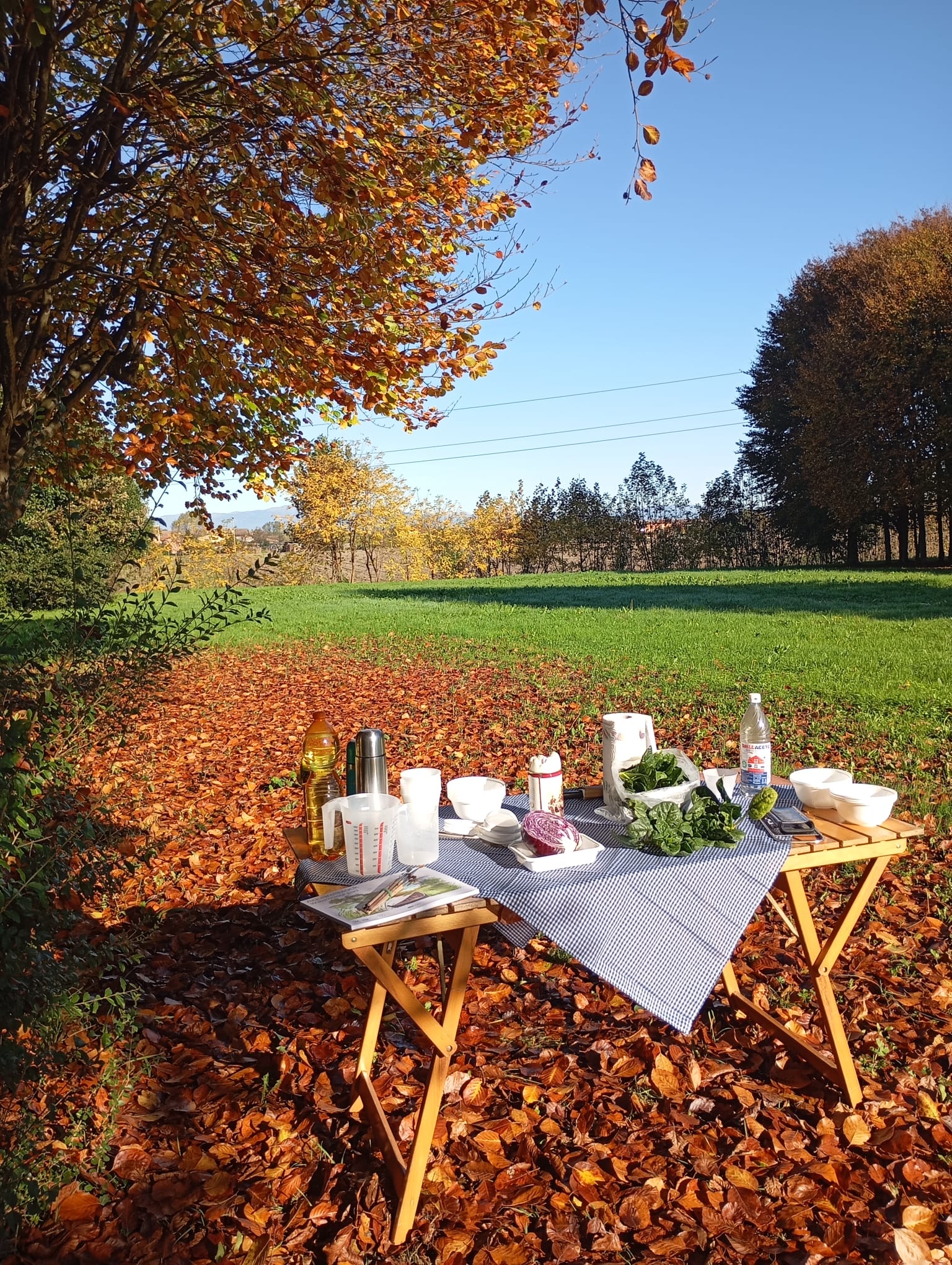 I bimbi della Scuola Materna di Vaccarino al “Parco del Passero” I bimbi della Scuola Materna di Vaccarino al “Parco del Passero”